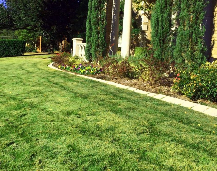 Lawn Care Services in Coppell
